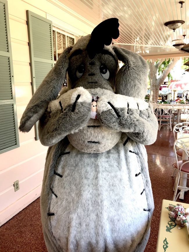 ２０１９ Jalエコノミーでひとりカリフォルニアディズニー３泊５日 Day3 前半 プラザ イン 彡 ディズニーランド周辺 アメリカ の旅行記 ブログ By りぽちゃんさん フォートラベル