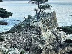 pebblebeach