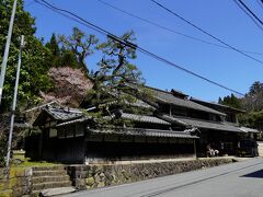 2019　榛原高井散歩