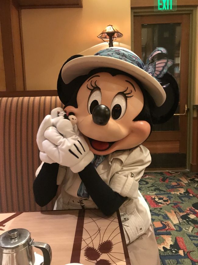 本日がカリフォルニアディズニー最終日となりました。<br /><br />昨日までの3日間、したかったことはほぼすべて出来ました(*´ω`*)<br /><br />キャラダイ、キャラグリ、ショー、パレード、アトラクション・・・<br /><br />そして最後のシメもやっぱりキャラダイ!(笑)<br /><br />なんたって今回のテーマは4つのキャラクターダイニングですから☆彡<br /><br />★グーフィーズ・キッチン《夜》<br />(ディズニーランドホテル)<br />グーフィー、ミニー、チップ&デール、プルート、ミッキー(期間限定)<br />★PCHグリル《朝》<br />(パラダイスピアホテル)<br />ドナルド、ミニー、デイジー、スティッチ<br />★プラザ・イン《朝》<br />(ディズニーランドパーク)<br />ミニー、チップ&デール、マックス、プー、ティガー、イーヨー、ラフィキ、フック船長、フェアリー・ゴッド・マザー<br />★ストーリー・テラー・カフェ《朝》<br />(グランドカリフォルニアンホテル)<br />ミッキー、ミニー、チップ&デール、プルート<br /><br />公式アプリでFP取得+カメラマン撮影の写真がダウンロードし放題のマックスパスですが、ストーリー・テラー・カフェはカメラマンさんがいないためマックスパスも非対応。<br /><br />だったらインパ出来ない最終日に行く方がお得!ということで、朝7:20の予約を取りました。<br /><br />本当はもう少し遅い時間が良かったのですが、空港送迎乗り合いバスのスーパーシャトルを予約した際、ホテルへのピックアップ時間が9:25~9:40に設定されたのです。<br /><br />スーパーシャトルの予約はアプリかHPから行うのですが、帰りのフライトの航空会社と便名を入れると自動的にいくつかのピックアップ時間候補が出て来るはず・・・<br /><br />14:00のフライトなのでもう少し遅くてもいいのですが、何度やっても9:25しか出てこなかったので仕方なくそれで予約しました。<br /><br />しかも15分前には用意しておくように、と注意書きがあったので、そうなると9:00にはホテルに戻ってベルデスクに預けた荷物を受け取っておかなければ!となり、徒歩で帰って来る時間も考慮するとめちゃ早起きしていかなければならない羽目になりました(T^T)<br /><br />とは言え、最後まで楽しんだカリフォルニアディズニーでした♪<br /><br /><br />それでは、最後の最後までキャラクターに癒された最終日の様子です(*゚▽゚)ノ<br /><br /><br />《行程》<br />5/27(月)関空17:45ーロサンゼルス12:05<br /> グーフィーズ・キッチン<br />5/28(火)PCHグリル<br /> ワインカントリートラットリア<br />5/29(水)プラザ・イン<br />★5/30(木)ストーリー・テラー・カフェ<br /> ロサンゼルス14:00ー<br />★5/31(金)ー関空18:30<br /><br />《航空券》<br />JALエコノミー(142710円)<br /><br />《ホテル》<br />シェラトン・パークホテル・アナハイムリゾート(388.11ドル=43470円)<br />※ディズニーランドから徒歩15分<br /><br />《空港送迎》<br />スーパーシャトル(往復37.76ドル=4230円)<br />※乗り合いバス<br /><br />《チケット》<br />3デーパークホッパーチケット(346.84ドル=39032円)<br />※ミッキーネットで購入<br /><br /><br />※1ドル112円で計算しています(カード請求時)