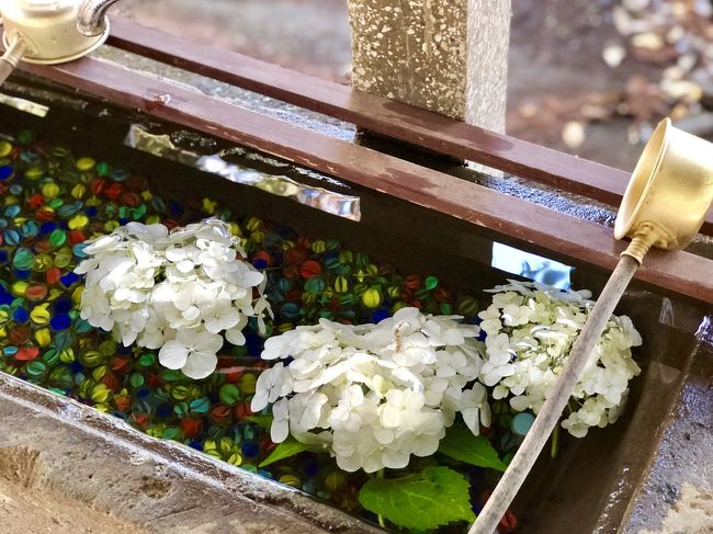梅雨の晴れ間、雨上がりの日曜日。<br />前日に埼玉の実家に泊まり、朝早く実家を出て下道で宇都宮まで行き御朱印巡りをしながら帰って来ました。<br /><br />今回、回ったルートは以前からずっと行きたいと思っていた所で、東北道と常磐道の丁度真ん中を回る感じになるので実家に前泊して新4号を使いました。<br /><br />新4号....恐るべし!カナダの道路みたいでしたよ。^^