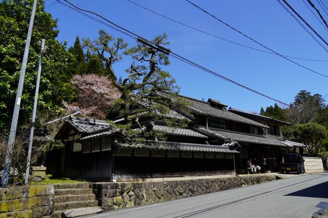 奈良県宇陀市榛原高井は、曽爾高原や御杖村などのある険しい山間を縫って、大阪・奈良方面と伊勢神宮を最短ルートで結んでいた伊勢本街道（別名：参宮本街道、伊勢中街道）が通る集落です。<br /><br />また、高井は女人高野で名高い室生寺へ至る室生山道（室生古道）の玄関口でもあり、近鉄大阪線が開通する以前は、室生寺への唯一の道として多くの参詣客が利用したと言われています。<br /><br />緩やかに弧を描きながら延びる街道筋に沿って形成される町並みには、今も伝統的な厨子二階建ての民家が軒を連ね、宿場町を思わせる佇まいが残されています。<br />