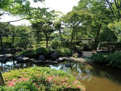 庭園を見に大磯城山公園（神奈川県大磯町）へ・・・