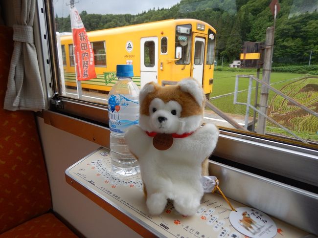 秋田内陸縦貫鉄道に乗って来ました。<br />車内販売で秋田犬のモペットが売っていたので<br />あまりにも可愛いので買ってしまいました。<br />内陸線の車両と一緒に撮ってみました。田んぼアートも写っています。