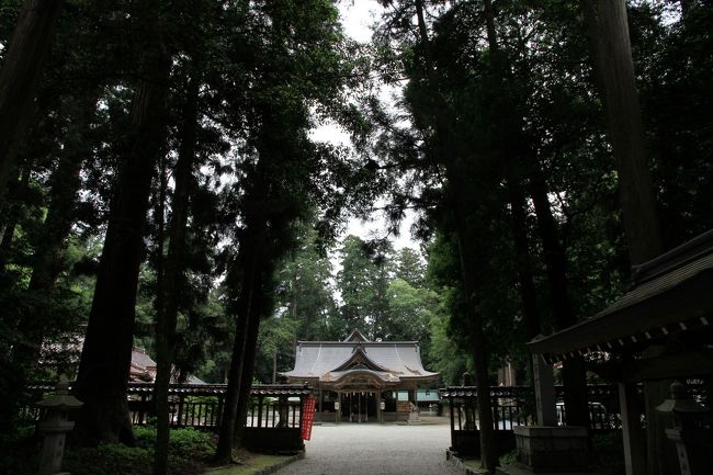 播磨国一之宮 伊和神社参拝<br /><br />鳥居をくぐり境内へ歩を進めると、雰囲気が一変し、ぴーんと張りつめた霊気みなぎる空間となりました。<br />深い木立の中、参道をしばらく歩くと拝殿が見えてきます。<br /><br /><br />