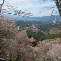 奈良の世界遺産を歩く．３　吉野山