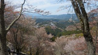 奈良の世界遺産を歩く．３　吉野山