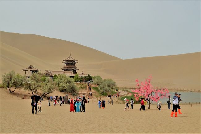 中国 シルクロード ４ 砂漠のオアシスに梅の花 鳴沙山で悠久の風に吹かれて 敦煌 後編 敦煌 中国 の旅行記 ブログ By Bell Sanさん フォートラベル