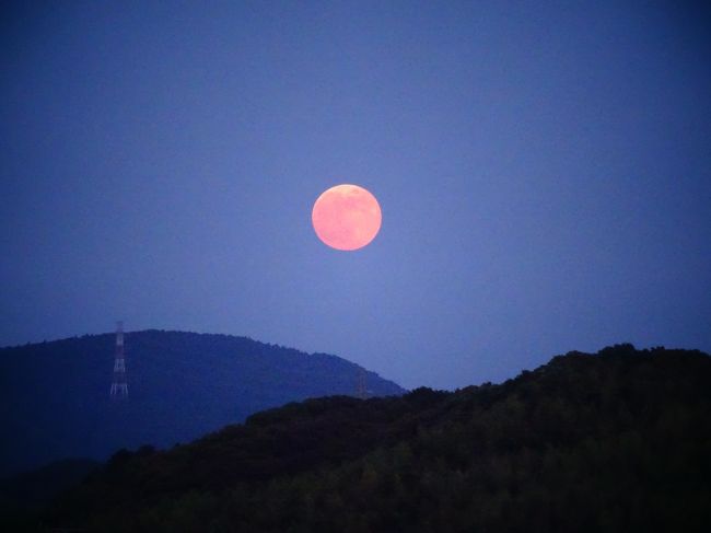 ６月の満月