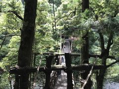 粗谷かずら橋。　JAL どこかにマイルの旅-3