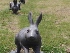 宍道湖うさぎに会いました　2019松江・出雲旅行２