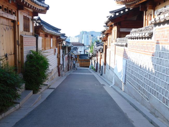 ピーチの羽田深夜便から夕方のエアソウルまでの11時間で、北村韓屋村・景福宮・土俗村の参鶏湯・マンゴーレイでカットマンゴー・BEANS BINSのマンゴーワッフル 弾丸でも結構楽しめました<br /><br />LCC11時間ソウル☆北村韓屋村・土俗村参鶏湯・マンゴーレイ・BEANS BINS マンゴーワッフル https://4travel.jp/travelogue/11507211<br />LCC11時間ソウル☆景福宮 守門将交代儀式 https://4travel.jp/travelogue/11507314