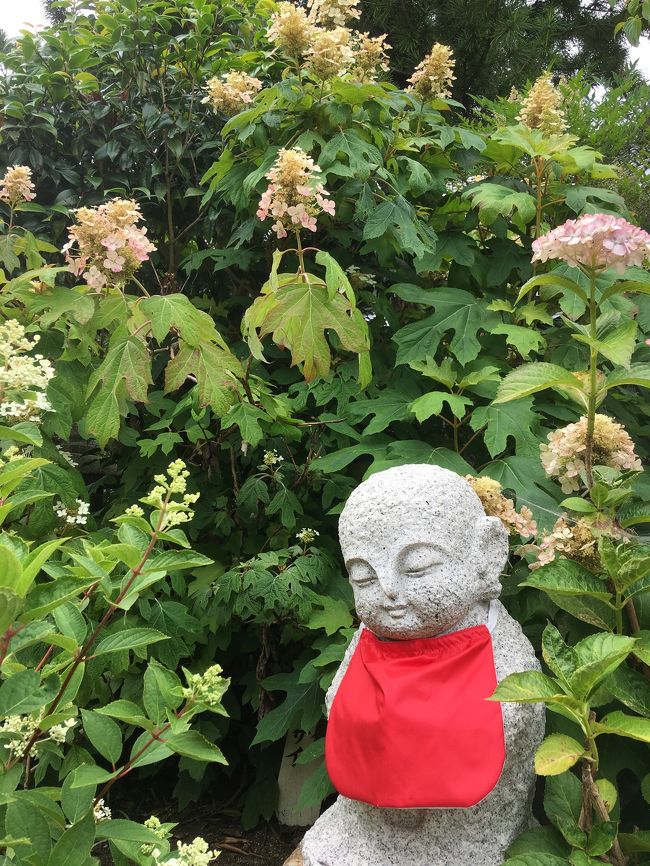 友達と、癒しのひとときを過ごしました。<br /><br /><br />神宮寺(あじさい寺)→環翠堂