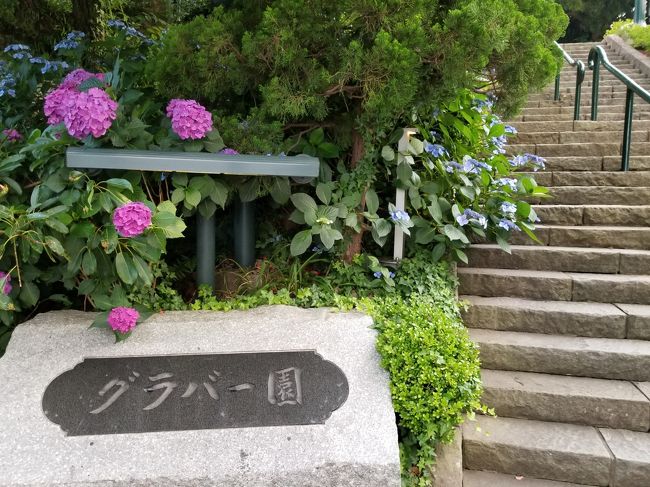 急に「旅行に行きたい」と思い立ち、どこがよいかと探した結果。<br />そんなに移動しなくても街に観光名所が集まっているとこがいい、<br />ピーチ航空でも格安で行ける!<br />ということで「長崎」に決定。<br />ひとり旅で訪れるのは初めて。<br /><br />初投稿、何卒宜しくお願い致します。<br /><br /><br />