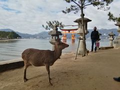 京都 天橋立～瀬戸内海フェリー～広島 宮島、原爆ドーム (広島編)