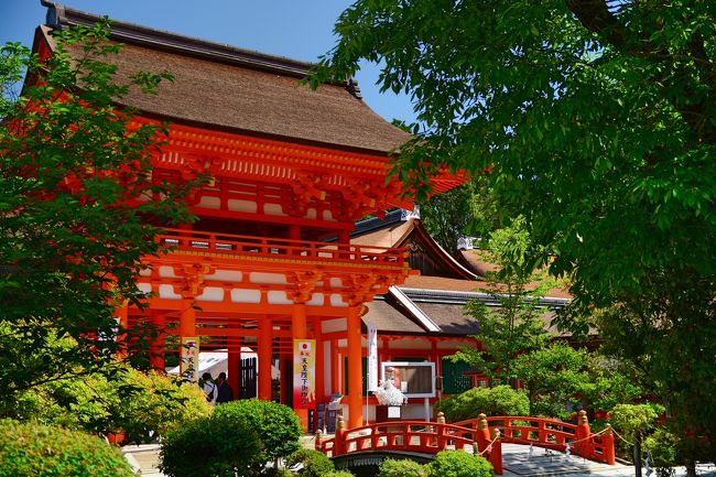 ２０１９ ５ ３０ ６ １ １９回目の結婚記念日旅行は青紅葉の京都と大阪 その１ 上賀茂神社と今宮神社 そしてあぶり餅 今出川 北大路 北野 京都 の旅行記 ブログ By まるなさん フォートラベル