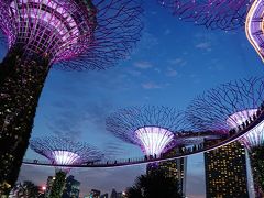 シンガポールの絶景を堪能。ガーデンズ・バイ・ザ・ベイにて。