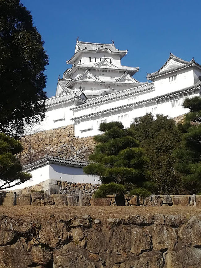 青春１８きっぷを使ってお得に近江八幡から日帰り旅行に行きました。