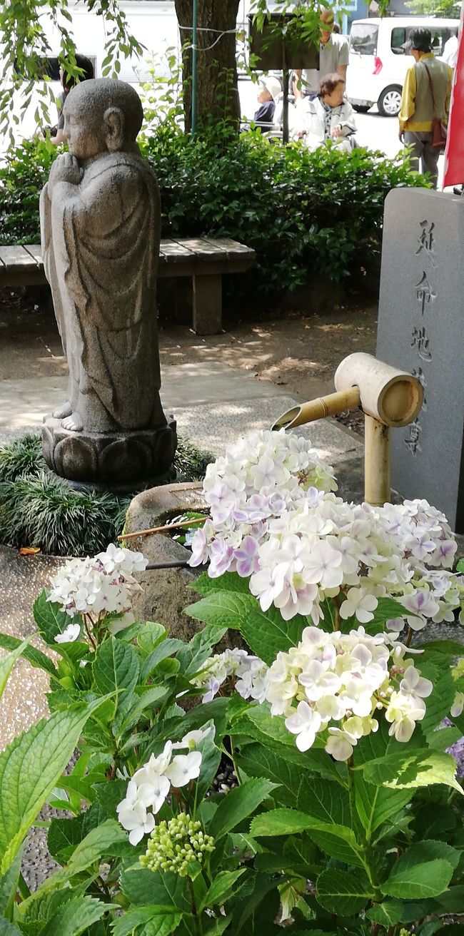 茨城で紫陽花 水戸市 水戸 茨城県 の旅行記 ブログ By Yo Haiさん フォートラベル 茨城で紫陽花 水戸市 水戸 茨城県 の旅行記 ブログ By Yo Haiさん フォートラベル