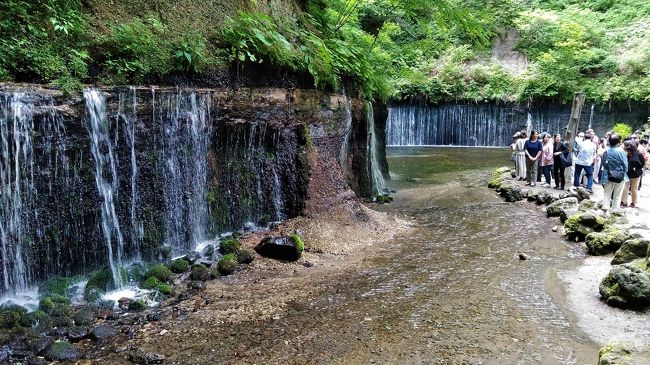 旧軽井沢の町を１００分散策した後、観光バスに乗り移動開始。Church Streetという屋根付きの商店街の裏手にバスは停車していたが、そこは長野県の軽井沢だ。で、次の軽井沢白糸の滝も長野県にあるが、今夜の宿、「奥軽井沢温泉　ホテルグリーンプラザ軽井沢」は、北軽井沢の嬬恋村にあり、そこは、なんと群馬県とのこと！なにか経緯のありそうな地名だ。　　<br /><br />バスに乗り、軽井沢白糸の滝で下車。数分歩くと滝が見えてくる。しばらくは、すばらしいなどと口走りながら見ていたが、<br />一通り、写真を撮ると、あまりの不自然さに気が付いた！これは自然ではなく、人の手が入っている！それを気にかけて、見始めると、証拠はあちこち見つかった。帰宅してパソコンであれこれ調べてみると、ウィキペディアにもはっきりと人工の滝とかいてある。それならそれで、書いておくべきだろう！掲示板には表現されていない。少しづつ、水が同量流れるように、滝の上は平らに削ってある！下の方の滝は上から見えるので、滝の上の石が削ってあったり、石が低いところにならべてあったりと、人工の滝であることは、その場でわかった。京都の庭園の滝が少し大型化したと思えばいい。TripAdvisorの感想を見ると、素朴な方が多いとわかる！罪作りだ。。。<br /><br />その後は宿に向かった。浅間山を眺められるホテルの外見はヨーロッパのティンバーの建築を模したもので、外観は立派だ。<br />そういえば、イギリスのチェスターで本物の古いティンバー・ハウスに宿泊したことを思い出したが、あれは内部まで、本物だ。それでも、宿の人に聞くと、ここも３０年くらい前の建築だそうで、だから、バブリーなのだ！ホテルのロビーも雰囲気がある。周囲を朝散歩したが、すばらしい環境だ。きっと浅間山噴火の後はしばらく経営が大変だったのだろう。<br /><br />