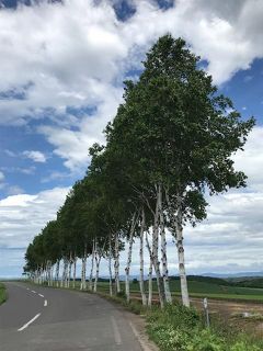 　【某オフ会】果てしない大空と広い大地を見に行ってきた【美瑛篇】