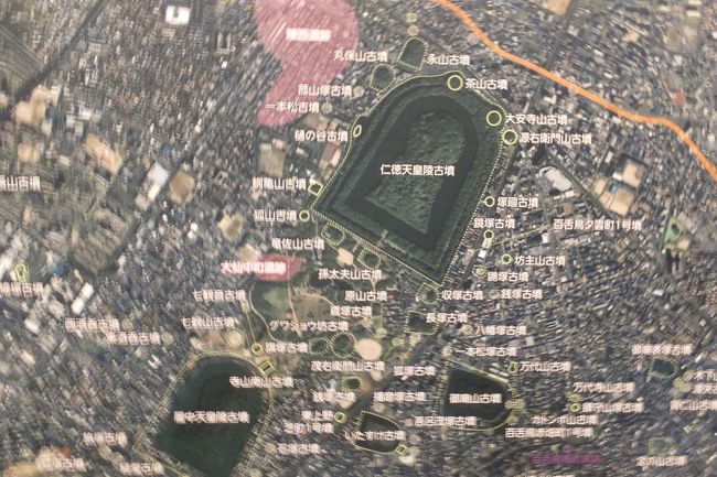 阪急交通社と堺観光コンベンション協会共同企画として募集があり応募した。<br /><br />JR百舌鳥駅 西口 改札前/12:30集合…………○大仙公園(お弁当の昼食:約50分)…………<br /> <br />◎堺市博物館(堺市の歴史に関する博物館。仁徳天皇陵VR体験も!約90分) <br />◎堺市茶室 伸庵(お抹茶とお菓子でちょっとひと息<約20分>)…………○仁徳天皇陵古墳拝所<約20分>……<br /> <br /><川上ガイドと仁徳天皇陵外周をぐるっと散策>…………三国ヶ丘駅【17:00頃】<br /><br />NHK のブラタモリにも出演した川上ガイドの案内で<br />百舌鳥古墳群の百舌鳥の名前は<br />日本書紀」の仁徳天皇のところで、同天皇が「百舌鳥野に幸して遊猟したまふ」とある。そもそもこの地名は、仁徳天皇陵の工事が始まった際に、野原から鹿が走り出て来て造営中の人の中で倒れて死に、その耳からモズが飛び去ったことから、「百舌鳥耳原」と呼ばれるようになったという。<br /><br />