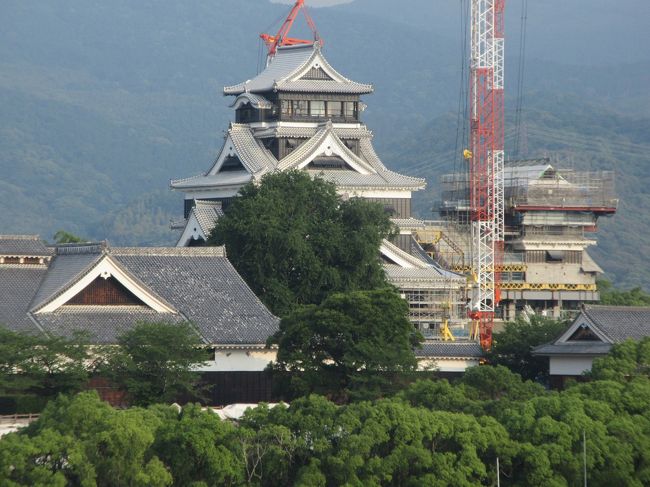 マスコットキャラクター「くまモン」と「水の都・火の国」熊本の美味を求めて　旅の記録五日目その2です。<br /><br />午前中水前寺公園を訪ね　名跡「古今伝授の間」でちょっとお茶して　「牛深丸」でランチの後再び街歩き再開　桜の馬場城彩苑で桜の小路散策　それから　熊本城へ。<br /><br />熊本城は加藤清正が中世城郭を取り込み改築した平山城で、加藤氏改易後の江戸時代の大半は熊本藩細川家の居城でしたが、平成28年熊本地震で大きな被害を受けました。熊本城は日本三大名城の一つであり、熊本のシンボルともいえる熊本城にまで地震の影響が及んだことは、熊本九州だけではなく、日本の多くの人々にショックを与えました。<br /><br />現在震災の復旧工事中で、城内には入れませんが、正門横からシャトルバスでも二の丸までは行け、いろんなところ降りるには周遊バス「しろめぐりん」で有料です。被災状況、工事の進捗状況が見られます。 2020年には天守閣が公開されますが、熊本城総合事務所によればその復修には10年以上かかる可能性があり再建費用が100億円に上るという声も上がっています。<br /><br />熊本市は平成30年12月株式会社大林組九州支店と、熊本城天守閣復旧整備工事契約を締結しました。工期　は　平成30年12月～　平成33年3月　工事概要は小天守の躯体復旧・外装復旧などです。<br /><br />　街歩きの途中　鶴屋デパートの裏にある小泉八雲旧居を訪ねました。八雲が五高の英語教員に赴任中、一年間住んだところを移築保存されている建物です。震災から復興して一般公開を再開しています。草木の香る平屋建ての昔の日本家屋です。<br /><br />　ホテル日航熊本滞在最後の夜は　再び中華の「桃季」でのディナーです。<br />　<br />注）熊本城および城彩苑や桜の小路に関してはフリー百科事典『ウィキペディア（Wikipedia）』および「熊本城桜の馬場」サイトから抜粋引用したものです。また小泉八雲旧宅に関してはTripadviserのサイトより、抜粋引用しています。