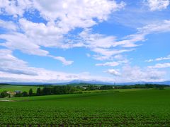 2019年6月　北海道に集まれ(´▽｀)ﾉ　令和最初の旅は北の大地！③美瑛の丘へ絶景ドライブ～＊*