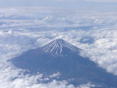 離島帰りの寄り道Tokyo