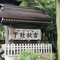 初夏の信州旅【2019.６】…大町山岳博物館と、諏訪大社でパワーチャージ《３日目》