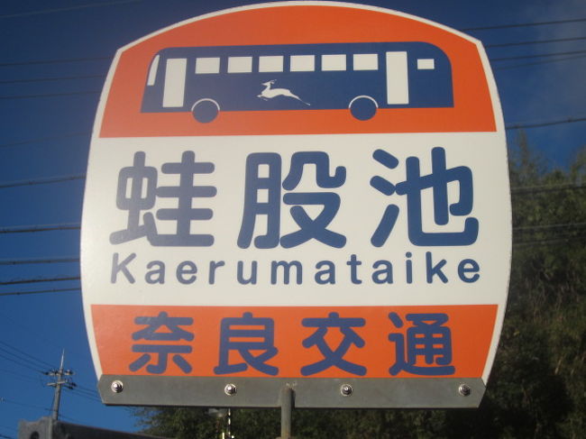 平成最後の年末旅、近鉄週末フリーパス利用の3日目旅程。<br /><br />この日は、12月30日、ということで、新年を迎える2日前ですので、早めの初詣を済ませてしまうことにしました。<br /><br />大阪府域・奈良県域の近鉄沿線をフラフラと彷徨って名古屋に戻りました。<br /><br />