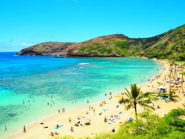 ハワイ オアフ島滞在 4日目の旅行記です。<br /><br />初日からずいぶん動き回っていた私ですが 4日目は、少しだけのんびり・・?<br /><br />午前 ハナウマベイに向けてThe Busで出発<br /> ハナウマベイのトレイル<br /> ハナウマベイ シュノーケル<br />昼 サニーデイズでランチ&パンケーキ<br />夕 ステーキジャック<br /> ホノルルビーチ<br />夜 ヒルトン花火鑑賞<br /><br />私がハワイに来て毎日 朝方のお天気が優れません。<br />4日目もハナウマベイ到着時が曇り・・のちに晴れです。(毎日このパターン)<br /><br />この日もThe Busをフル活用。<br /><br /><br /><br /><br />