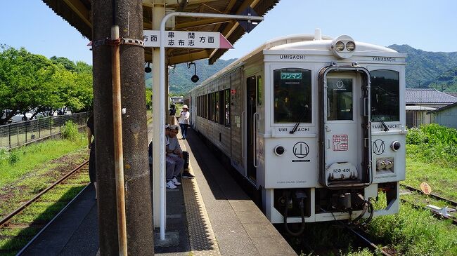 定番となった6月の旅は、どこかにマイル第7弾。広島、松山、高知、宮崎の全て西方向の中から選ばれた宮崎でした。<br />宮崎は何度か行っているものの、じっくり回ったことが無く、九州の中でも最後になってしまうところ。けれども、なかなか新たは発見が多い旅となりました。<br /><br />表紙写真は、D＆S（デザイン＆ストーリー）列車の海幸山幸。