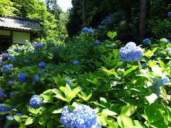 ぶらり散歩 明月院～小町通り 2019.6