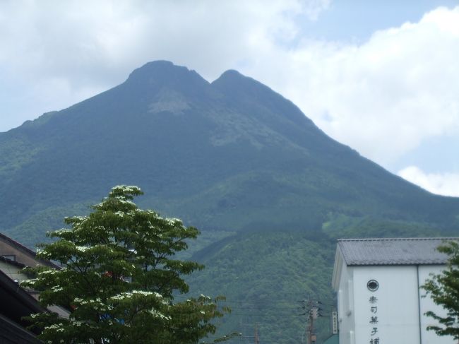 今回は母と二人旅。ゆっくり温泉にでも…ということで、２泊３日で別府・湯布院に行ってきました。まずは１日目の移動と２日目の前半、湯布院です。