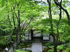 初夏の京都、青もみじが素敵で、とても静かな嵯峨野の   ”常寂光寺” へ     ☆(^з^)☆