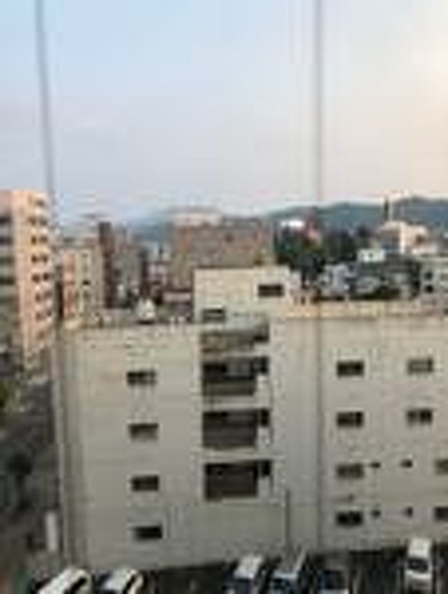 山口県周南市緑地公園の野犬約170匹 ボラ活動1泊2日 徳山 周南 山口県 の旅行記 ブログ By Casperさん フォートラベル