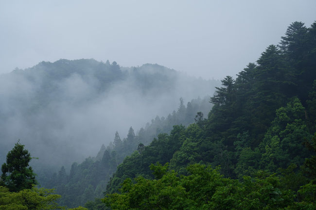 梅雨旅・秩父奥武蔵～秩父の街歩きと山間の宿～