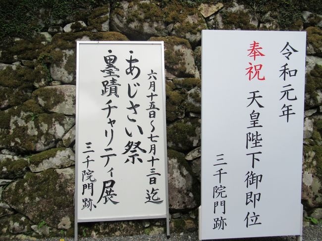 大原三千院の、あじさい苑に行きました。<br />曇り空でしたが、比較的に天気は良好の様子。<br />そんなに混雑もしていなくて、比較的にゆっくりと観覧出来ましたが、人気はあるようです。<br />境内は景観も良く、とても風情があり情緒たっぷりです。<br />アジサイか見ごろで、ちょうど良い感じで咲き誇るように見えます。<br />また、境内は一部バリアフリーになっており、車いすの方でも観光できるようになっています。<br /><br />大原三千院 あいじさい苑 http://sanzenin.or.jp/wp/2019/06/15/%e3%81%82%e3%81%98%e3%81%95%e3%81%84%e3%81%be%e3%81%a4%e3%82%8a%e3%81%ae%e3%81%8a%e7%9f%a5%e3%82%89%e3%81%9b/<br /><br />叡山電鉄 https://eizandensha.co.jp/guide/station/ <br /><br />京都バス http://www.kyotobus.jp/spot/2012/06/post-4.html <br /><br />京都の情報 https://sites.google.com/site/wonderfulcare1/ <br /><br />京都 大原観光保勝会 https://kyoto-ohara-kankouhosyoukai.net/