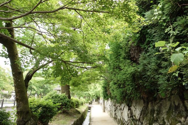 大津市坂本は比叡山延暦寺の門前町として古くから栄えた場所です。今でも往時の風情を偲ぶことができる素敵な場所です！今回は比叡山ではなく，この麓の坂本の町のことをまとめておきます。
