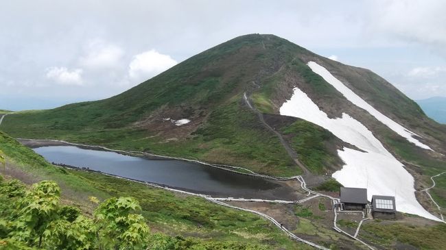 2日目は素直に秋田駒ヶ岳に。八合目からメインの登山道を登ります。平日なのに結構な登山者。<br />1時間で阿弥陀池。チングルマとヒナザクラの海という感じ。せっかくだから、男女岳に登ってみますか。10年ぶりの山頂は賑わっていました。<br />横岳経由で大焼砂に。砂礫地にはタカネスミレが満開。わずかにコマクサも。<br />馬場の小路、いわゆるムーミン谷へ向かいます。雪田がかなり残ってました。当然のごとくチングルマとヒナザクラ。<br />阿弥陀池に戻るには急坂を登らないと(>_<) でもこの道もシラネアオイが真っ盛り。汗かきながらも楽しく登れました。<br />前日同様、楽しい(前日と違い楽チンな、笑)一日!<br /><br />最終日(22日)は雨の予報だったので、山はやめてまず乳頭温泉に。迷いましたが、評判が良い妙乃湯に。<br />よそより200円高い800円(税込)です。2種類の温泉あり、湯舟もいっぱいで、ゆっくり気持ち良かった。小雨のなか路線バスに乗ろうとしたら、宿のスタッフが傘さしかけて見送ってくれました(^o^)<br />まだ時間があったので、田沢湖遊覧船に。もう10回以上田沢湖に来てますが、初めて(笑) 普通に楽しめました。初たつこ像も。