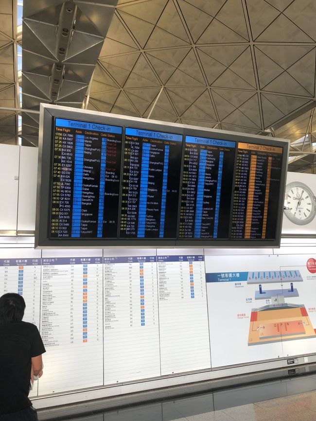 ６月１８日火曜日帰国しました。<br />ホテルを６時半チェックアウトして、今回はホテルバスＨＫ＄１３０を利用しました。<br />沙田エリアから３５分で空港へ到着です。<br /><br />空港内は混雑し、ラウンジも入場行列でした。<br />定刻運行な香港航空はゲートオープンも早く、ＥＴＤ定刻通りでした。<br /><br />成田空港日本人コーナーは誰もいません。<br />手荷物受取もすぐに出てきて税関も素早く終了、リムジンバスで帰宅、渋滞もなく快適でした。<br />平日火曜日、海外観光客ばかりの成田空港は完全なアウェイでした。ｗ