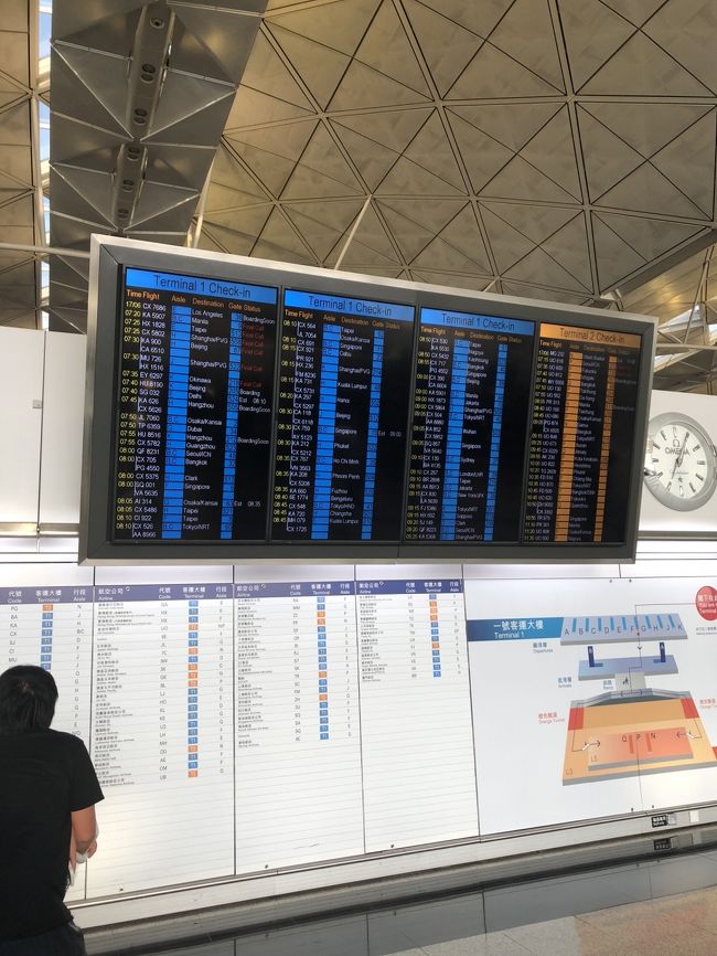 6月18日火曜日帰国しました。<br />ホテルを6時半チェックアウトして、今回はホテルバスHK$130を利用しました。<br />沙田エリアから35分で空港へ到着です。<br /><br />空港内は混雑し、ラウンジも入場行列でした。<br />定刻運行な香港航空はゲートオープンも早く、ETD定刻通りでした。<br /><br />成田空港日本人コーナーは誰もいません。<br />手荷物受取もすぐに出てきて税関も素早く終了、リムジンバスで帰宅、渋滞もなく快適でした。<br />平日火曜日、海外観光客ばかりの成田空港は完全なアウェイでした。w