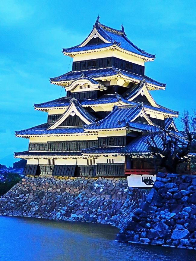 松本城（まつもとじょう）は、長野県松本市にある日本の城で乾小天守は現存最古の天守である。安土桃山時代末期-江戸時代初期に建造された天守は国宝に指定され、城跡は国の史跡に指定されている。天守が国宝指定された5城のうちの一つである（他は姫路城、犬山城、彦根城、松江城）。 <br /><br />1590年（天正18年）の豊臣秀吉による小田原征伐の結果、徳川家の関東移封が行われ当時の松本城主小笠原秀政も下総古河へと移った。代わりに石川数正が入城し、石川数正とその子康長が、天守を始め、城郭・城下町の整備を行う。 その後、小笠原秀政が再び入城。大坂の陣以後は、松平康長や水野家などの松本藩の藩庁として機能した。水野家の後は松平康長にはじまる戸田松平家（戸田氏の嫡流）が代々居城とした。 1727年（享保12年）には本丸御殿が焼失、以後の藩政は二の丸で執務がとられた。 <br /><br />構造 <br />典型的な平城。本丸・二の丸・三の丸ともほぼ方形に整地されている。南西部に天守を置いた本丸を、北部を欠いた凹型の二の丸が囲み、さらにそれを四方から三の丸が囲むという、梯郭式に輪郭式を加えた縄張りである。これらは全て水堀により隔てられている。現存12天守の中では唯一の平城。 <br />天守<br />5重6階の天守を中心にし、大天守北面に乾小天守を渡櫓で連結し、東面に辰巳附櫓・月見櫓を複合した複合連結式天守である。大天守は、初重に袴形の石落としを付け、窓は突上窓、破風は、2重目南北面と3重目東西面に千鳥破風、3重目南北面に向唐破風の出窓を付けている。辰巳附櫓・月見櫓は、第3代将軍、徳川家光が長野の善光寺に参拝する途中で、松本に立ち寄るという内意を受けたため、当時の藩主、松平直政が建てた。赤い欄干を配して、風雅な雰囲気を持つ。家光の善光寺参拝は中止になったが、天守に付属する月見櫓としては唯一の遺構となった。 <br />大天守は構造的には望楼型天守から層塔型天守への過渡期的な性格が見られ、2重目の屋根は天守台の歪みを入母屋（大屋根）で調整する望楼型の内部構造を持ちながら外見は入母屋を設けず強引に寄棟を形成している。ただ、強引とはいえ外見的には層塔型の形状を成立させているため、各重の屋根の隅は様々な方向を向いており、松本城天守の特徴のひとつとなっている。内部は最上階（6階）の他に4階を白壁造りにするなど、ある程度の居住性が考慮されている。外壁は初重から最上重まで黒塗の下見板が張られており、修理工事が竣工した1955年（昭和30年）以降は黒漆塗りとなっている。乾小天守も構造的特徴は大天守と同様であるが、最上階に華頭窓が開けられている。 <br />松本城公園<br />松本城周辺に整備された、入場無料の公園（天守閣と本丸庭園は有料）。四季を通じて各種イベントが開催されている。<br />（フリー百科事典『ウィキペディア（Wikipedia）』より引用）<br /><br />国宝　松本城　については・・<br />https://www.matsumoto-castle.jp/