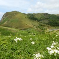 2019 6月の北海道　礼文島へ　【3】