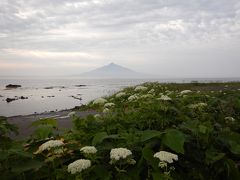 2019 6月の北海道　礼文島へ　【１】