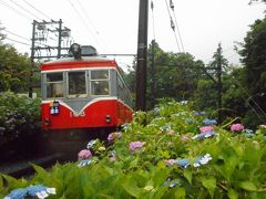 ２０１９年　６月下旬　プチ箱根・・・・・④大平台での撮影