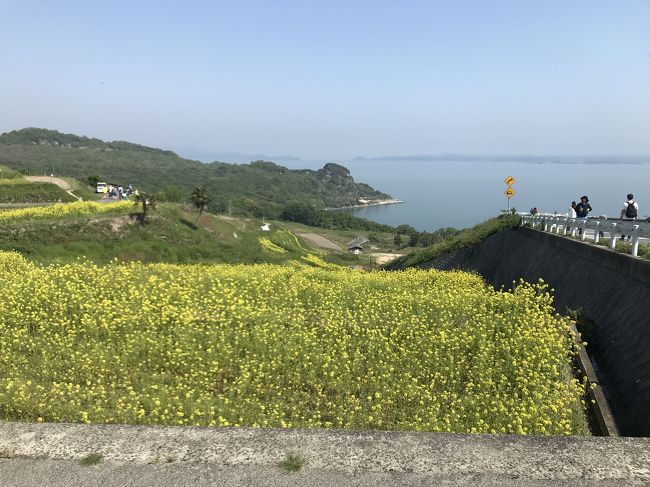 2日目はお隣の豊島と、小豆島に戻ってオリーブ公園に行って来ました☆