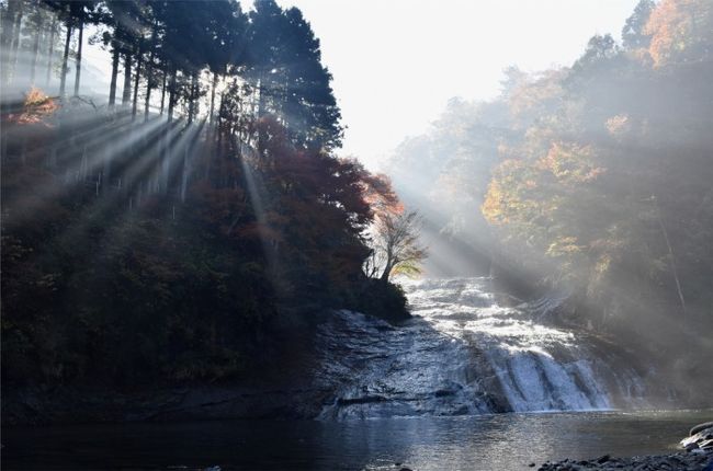 今年は10月1日の立山から飛騨・乗鞍岳・奥日光・栃木市とあちこち紅葉見物に出かけました。<br /><br />里の木々も色づいて、最後の紅葉探しは房総半島 養老渓谷。<br />初めて行く場所です。<br />紅葉がきれいだとも聞いている場所なので、期待して出かけてみました。<br /><br />やっと書けた旅行記、記載は約1年半後です。<br />