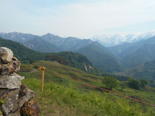 学生時代に、テントを背負って、山形県の飯豊連峰主稜線を縦走登山した仲間５人で、50年振りに下山した温泉に行くという旅。<br />　<br />その1は初日。<br />埼玉から車で３時間、米沢市で名物米沢牛を食べ、小国町の山岳展望台の朴ノ木峠と樽口峠から残雪の朝日連峰と飯豊連峰の峰々を望む。<br />お天気も良く、大正解の初日でした。